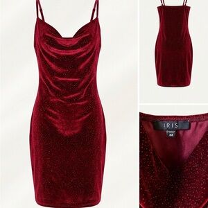 Iris Women's Burgundy Velvet Mini Dress